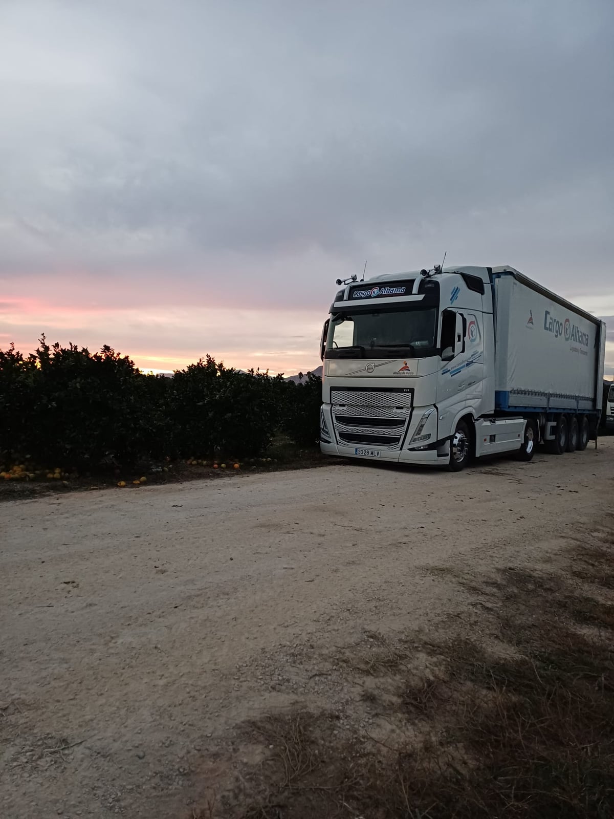 Camión de logística